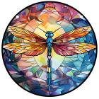 Dragonfly/Type13/L